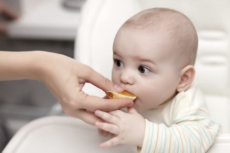 Alimentos para bebés y niños pequeños