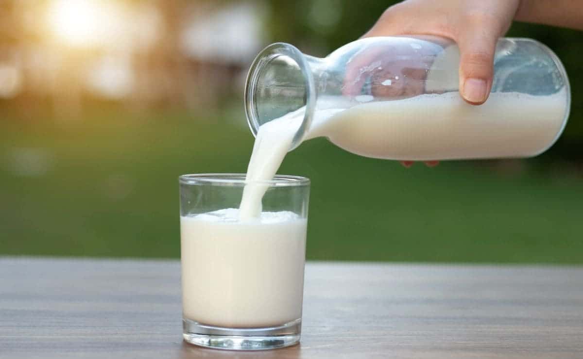 Vaso de leche de vaca