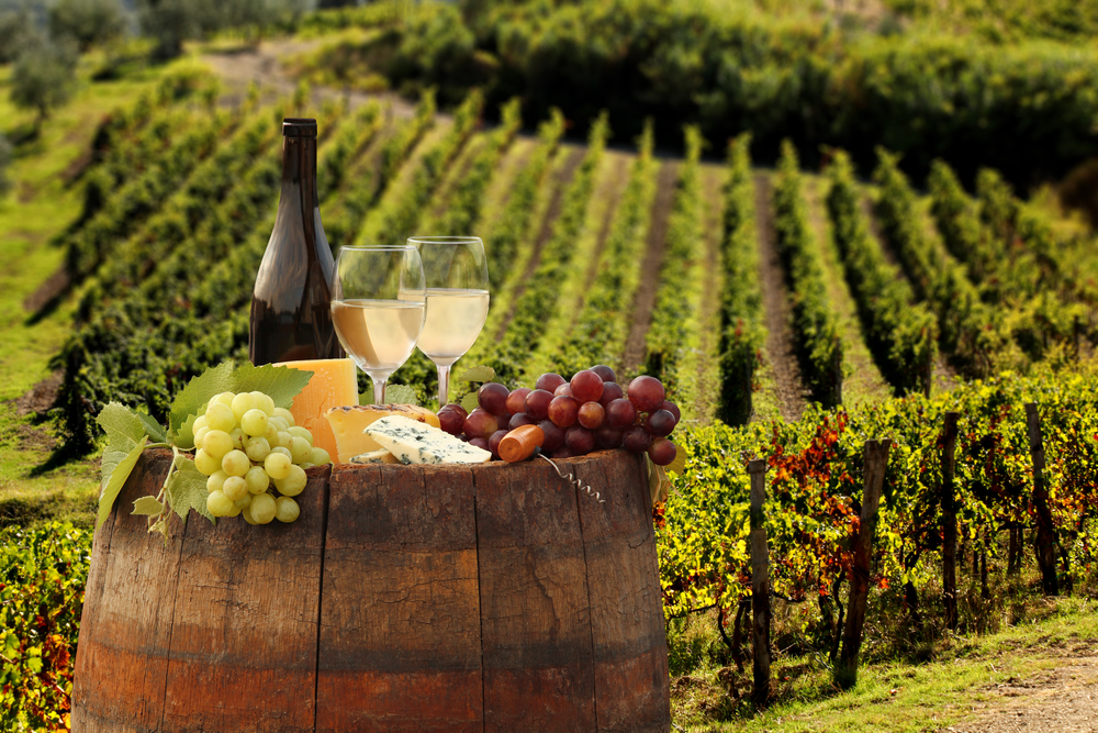 los mejores vinos en la Toscana